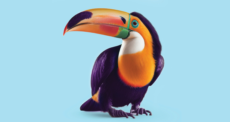 Guinness toucan symbolizing creative storytelling and iconic branding from the How to Improve Your Brand Storytelling: Lessons from Guinness article by Design At Work