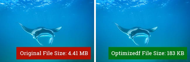 Image optimization before and after showing a photo of a manta ray in the ocean. Before is the original size of over 4 megabytes. After shows teh same image optimized to 183 KB.
